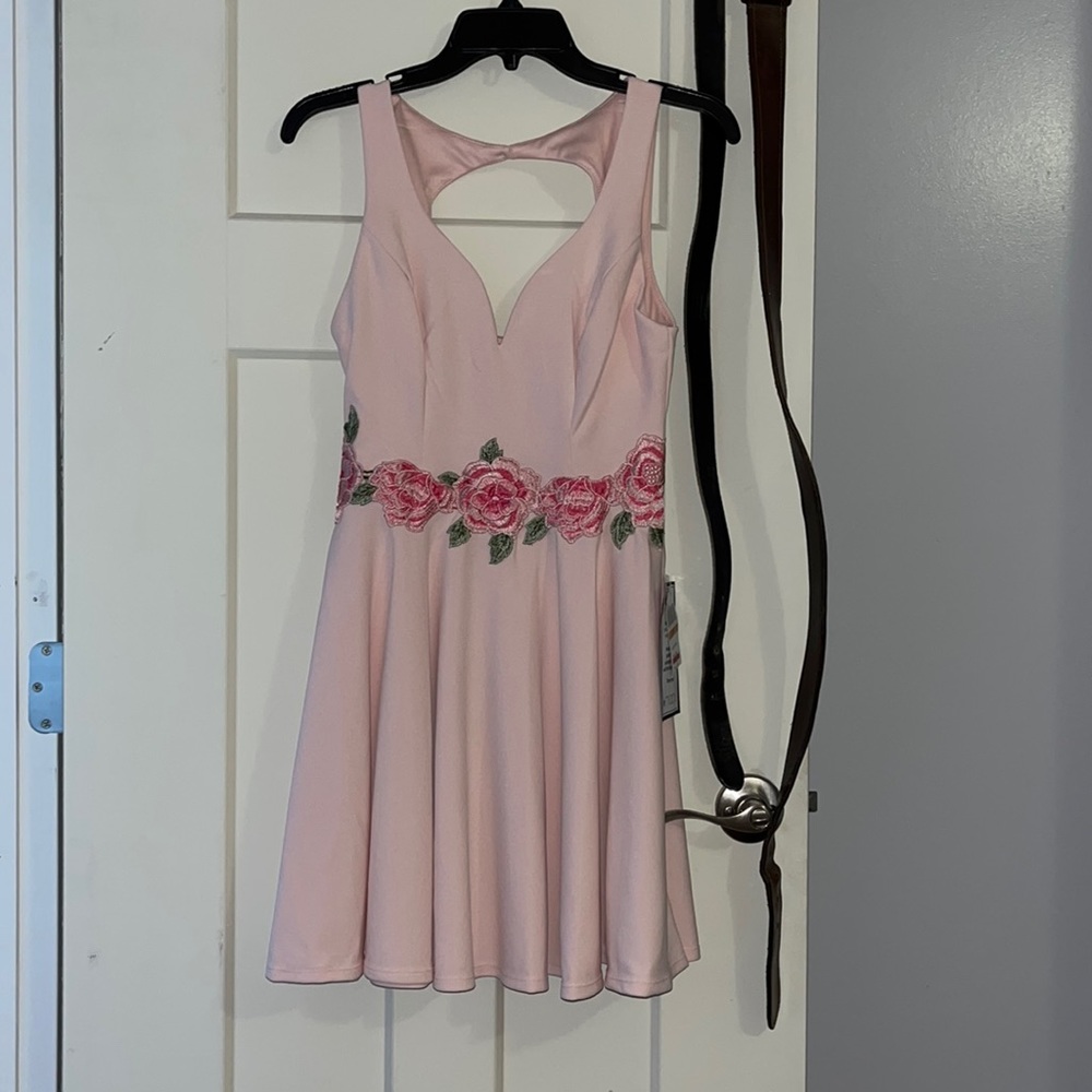 Cute pink dress, never worn
